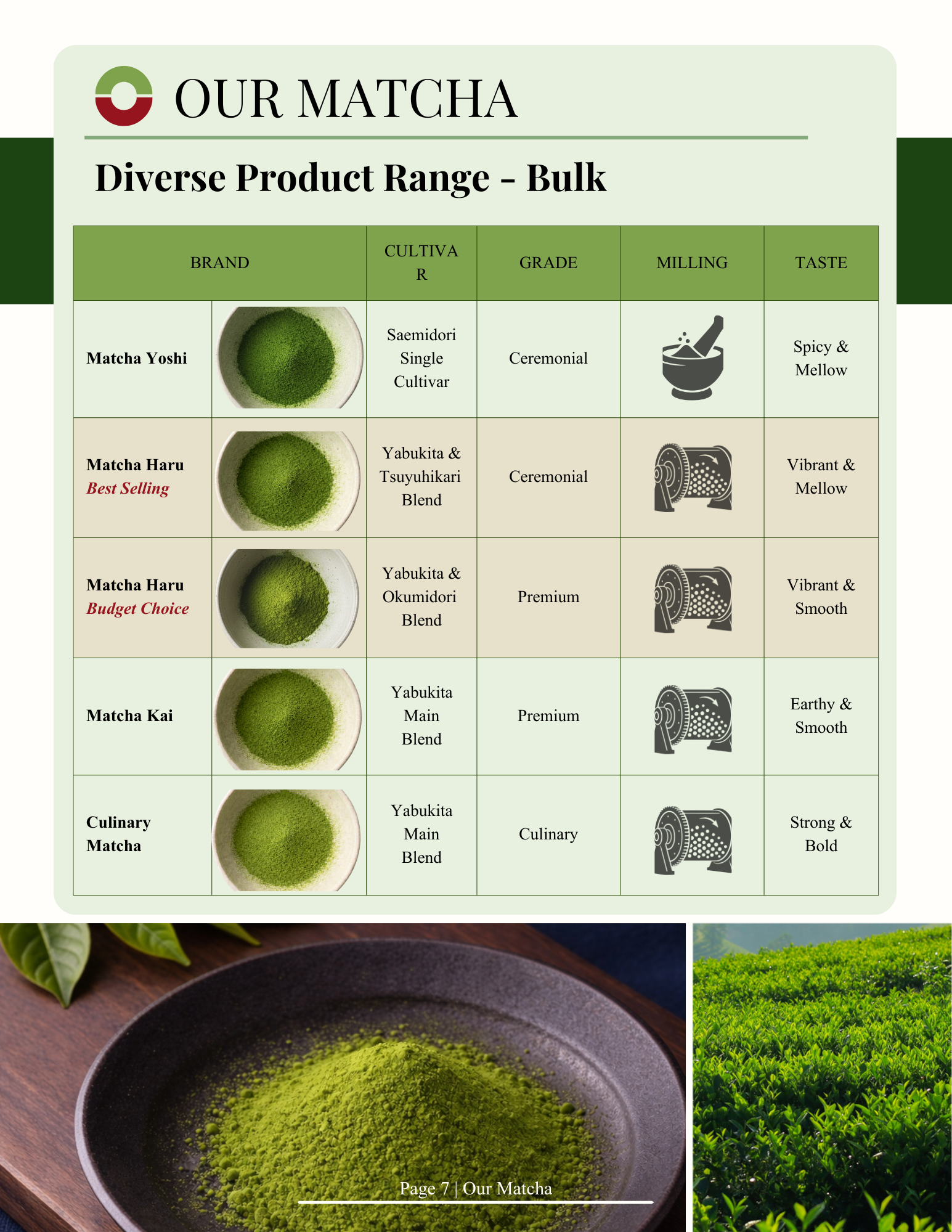 Yuminaga Foods Matcha RTD – grades for cafes